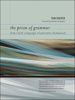 cover image of The Prism of Grammar